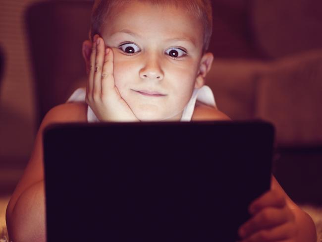 Children as young as two are set to be educated about online safety as part of an agreement between the AFP and the Alannah &amp; Madeline Foundation. Picture: iStock