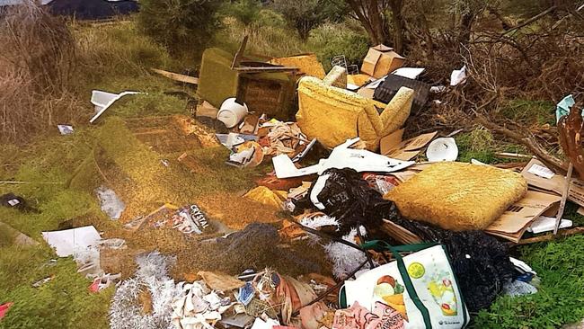 Tendered evidence in the Environment and Resources Court showing litter dumped by Port Pirie pizza shop owner Andrew Paul Mathews. Picture: SA Courts