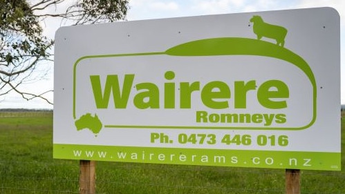 Wairere Romneys has history dating back to 1929 when Len Daniell started the Akoura Romney stud.