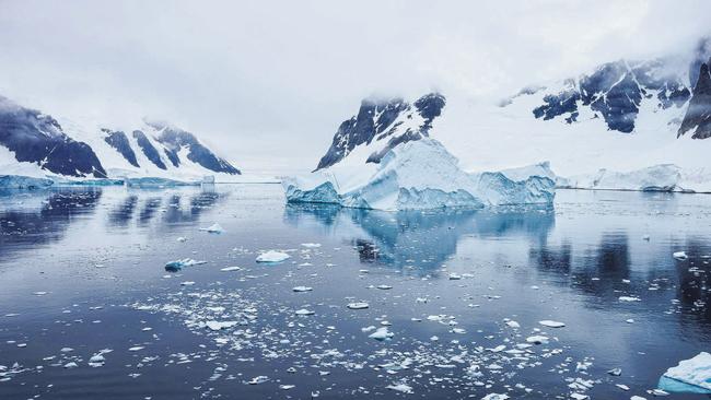 Antarctic division workers say science branch ‘barely functioning ...