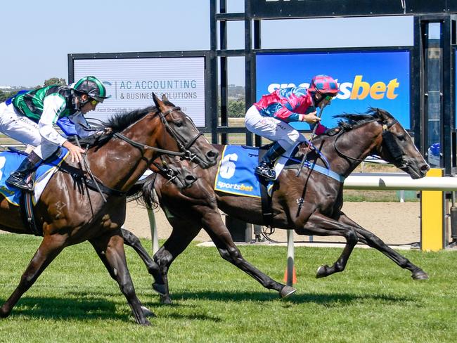 Lunar Fox ridden by Brett Prebble wins the AC Accounting - Ballarat SV 2YO Maiden Plate at Sportsbet-Ballarat Racecourse on February 23, 2020 in Ballarat, Australia. (Reg Ryan/Racing Photos via Getty Images)