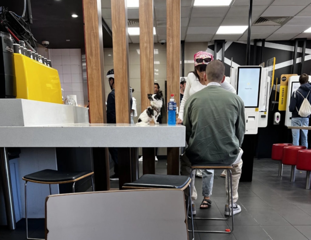 Aussies who bring their pets into McDonald's restaurants could receive an on-the-spot fine of as much as $1760 from the local council. Picture: Reddit