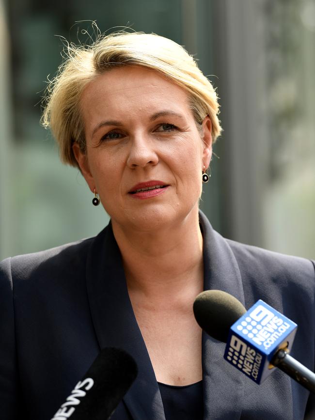 Labor heavyweight Tanya Plibersek on Sunday. Picture: AAP