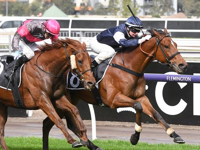 Point King (IRE) ridden by Jamie Kah wins the Lexus Archer Stakes at Flemington Racecourse on September 14, 2024 in Flemington, Australia. (Photo by Brett Holburt/Racing Photos via Getty Images)