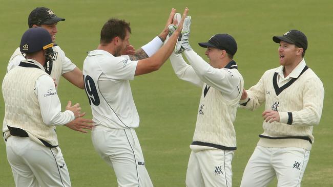 James Pattinson of Victoria (3rd left) celebrates with teammates after taking the wicket of Nick Larkin. Picture: AAP Image/Hamish Blair