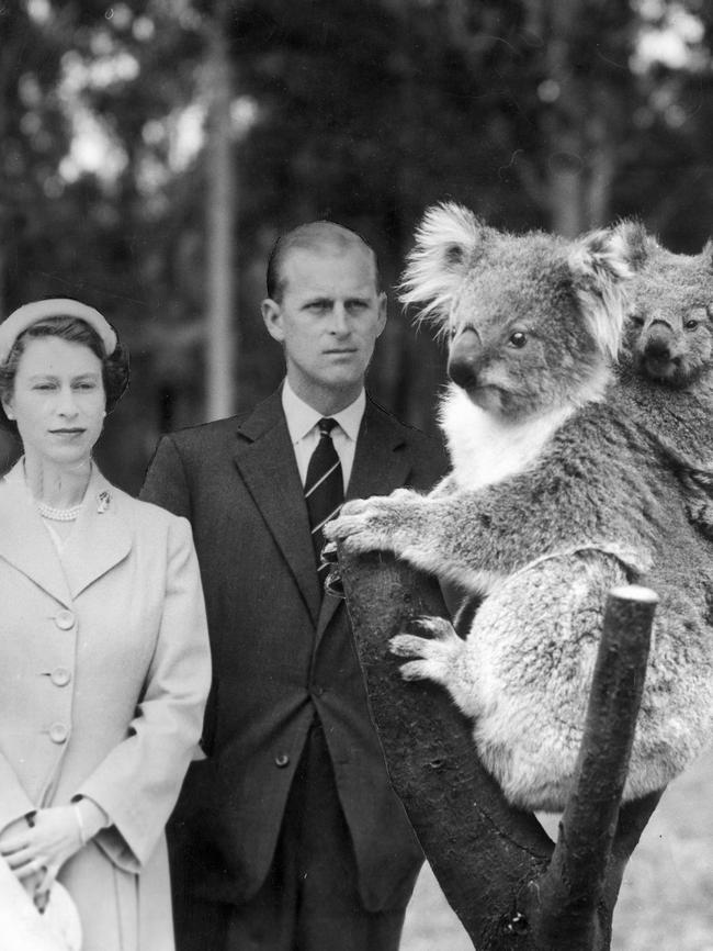 One is not amused. Queen Elizabeth and the Duke of Windsor watch a koala at the O'Shanassy Chalet, during their visit to Melbourne in 1954. Picture: HWT Library.