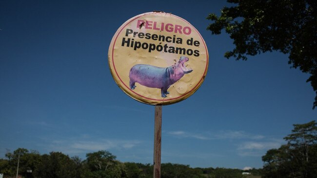 A warning sign for hippos near the Hacienda Napoles theme park. Picture: Anadolu Agency via Getty Images/The Times