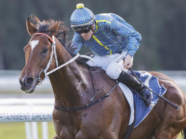 GOSFORD, AUSTRALIA - MAY 07: Jay Ford on Rustic Steel wins race 9 the The Coast during Gosford Gold Cup Day at Gosford Race Club on May 07, 2022 in Gosford, Australia. (Photo by Jenny Evans/Getty Images)