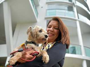 DOG'S LIFE: Lyn Henderson and Tawny love life in their highrise. Picture: Warren Lynam