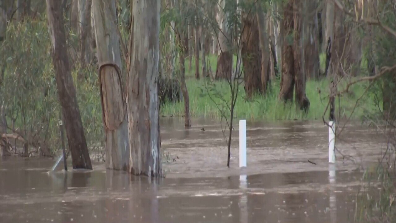 'Water all through the streets': Shepparton flooding 'really concerning'