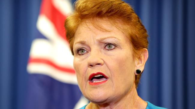 Pauline Hanson announces Raj Guruswamy and George Christiansen to run for the senate, One Nation Pauline Hanson presser, Brisbane City, on Wednesday April 13th - Photo Steve Pohlner