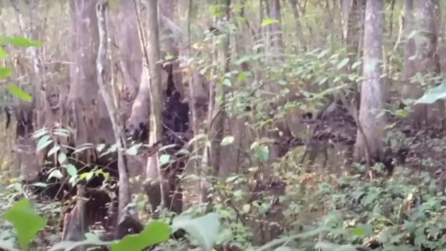 Highcliffe posted a YouTube where he believed he saw a figure that looked suspiciously like Bigfoot. Picture: Josh Highcliff/YouTube