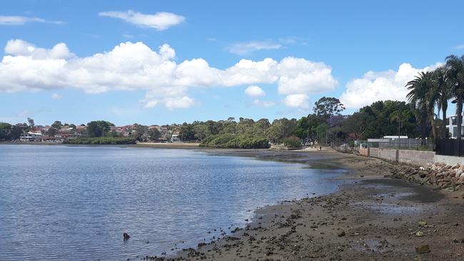 Looking west to east, from Friend Ave to Halliday Park, at where a new boardwalk could be constructed. Picture: Supplied