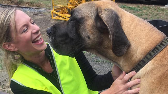 Rebecca White and her dog for Dogs in Politics Day. Picture: Supplied