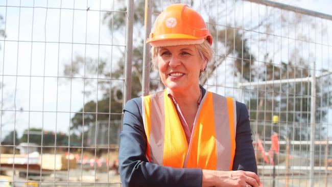 Federal Environment Minister Tanya Plibersek.  Picture: Nikki Davis-Jones