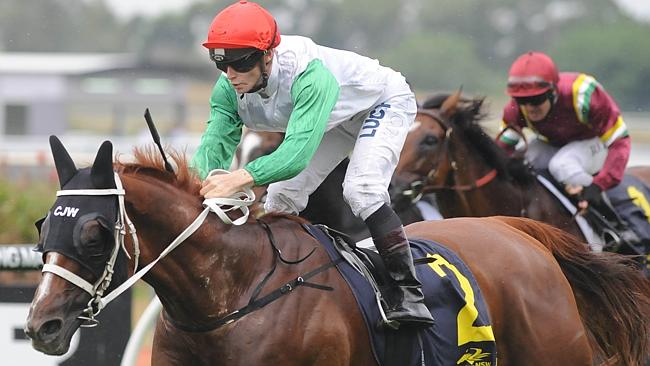 Junoob is racing well but is hardly good odds in the Randwick City Stakes. Picture: Simon Bullard