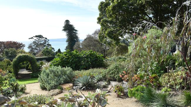 The Dry Climate Garden at Heronswood Gardens. Picture: Jason Sammon