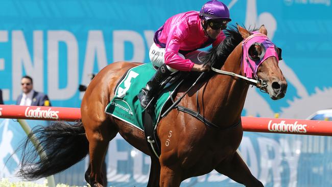 Soul Patch cruises to victory at the Valley. Picture: Michael Klein