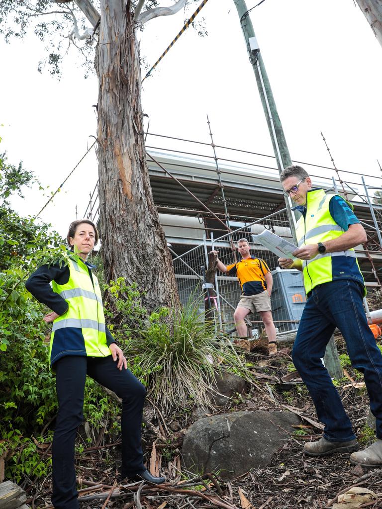 Jane Sargison and Matt Horsham with builder Cameron Helm in front of the tree the Hobart City Council wanted $60,000 for to cut down. Picture: Mireille Merlet.