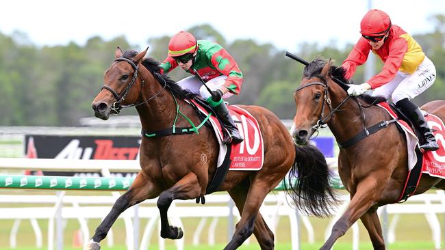 Robbie Dolan swoops late on Poster Girl to beat Barbie’s Sister at the Sunshine Coast on Saturday. Picture: Grant Peters/Trackside Photography