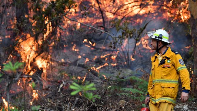 A firefighter conducts back burning measures. Local business are holding a charity auction this Wednesday to raise money for fire victims. Picture: SAEED KHAN/AFP