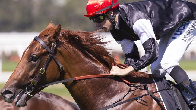 Jockey Jordan Childs steers Written By to victory in the Pago Pago Stakes. Picture: AAP