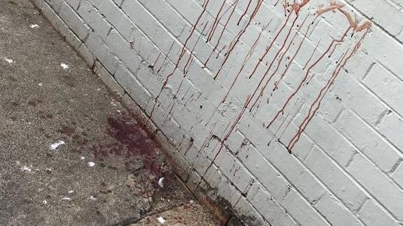 What appears to be blood in an alleyway at Boyd Lane, Dandenong. Picture: Supplied