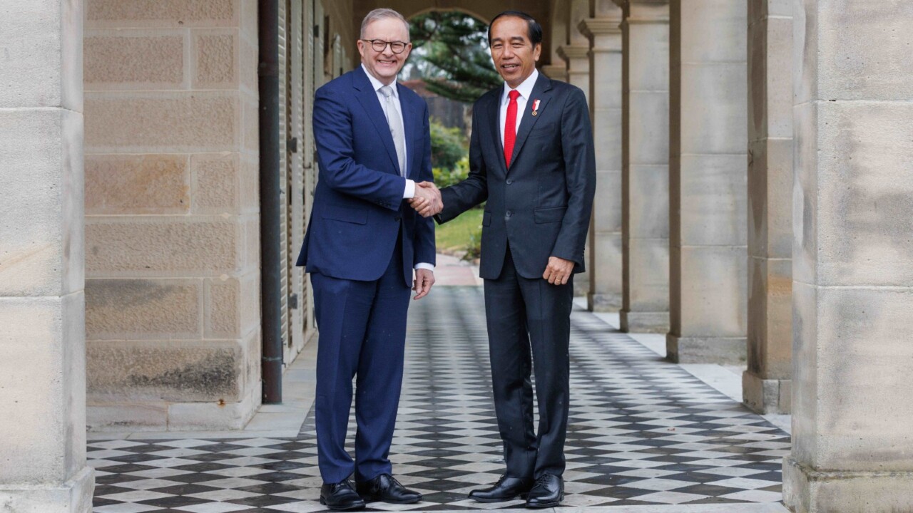 Anthony Albanese ‘up a gear’ with Indonesian PM