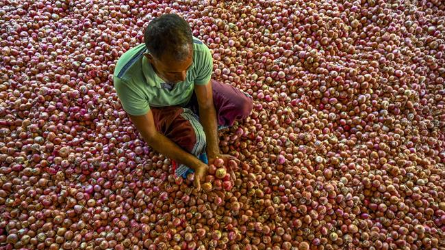 A farmer in Sri Lanka inspects his harvest of onions. Picture: AFP