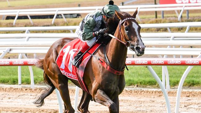 James Lamb has Kings Will Dream on top in the Caulfield Cup. Picture: Getty Images