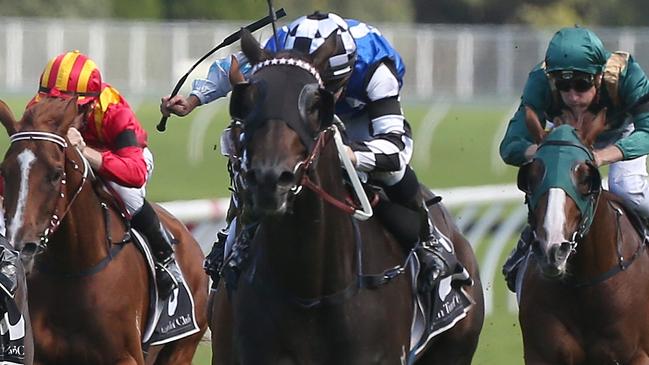 Mongolian Wolf could get punters off to a good start in race two at Doomben. Picture: AAP