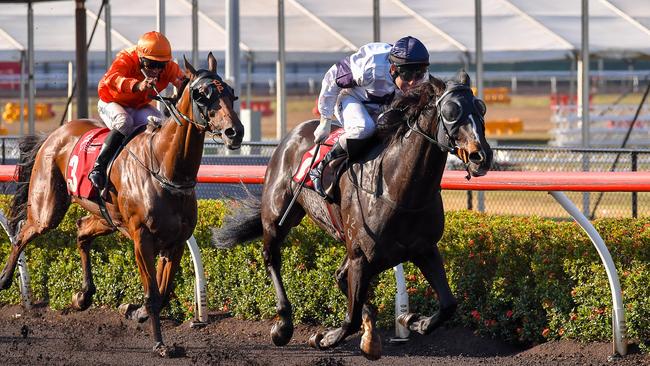 The Sheila Arnold trained Lake's Folly won at Fannie Bay with jockey Mark Pegus onboard. Picture: Caroline Camilleri