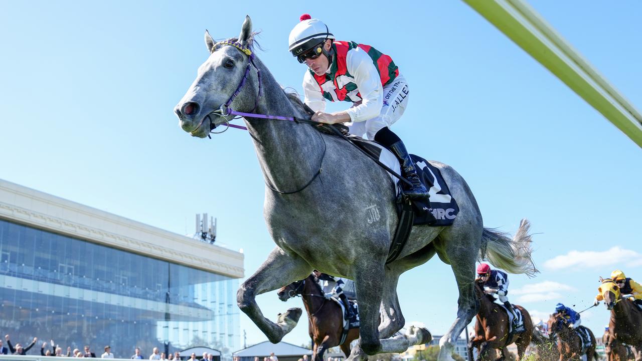‘Lucky place for me’: Modest Allen in quest for fifth SA Derby