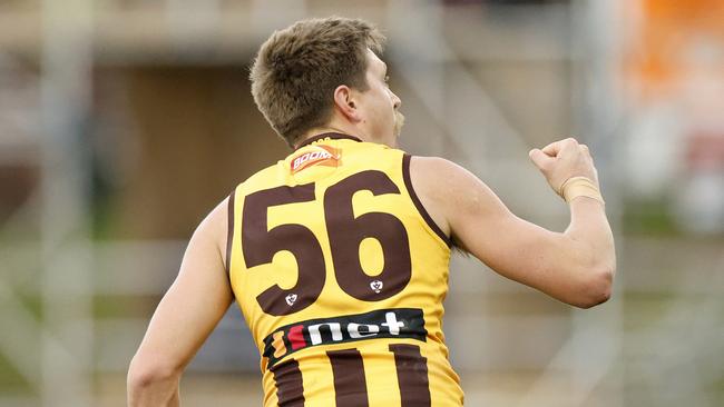 Fergus Greene kicked 53 goals in 2022 for Hawthorn VFL affiliated Box Hill Hawks. Picture: DiMaggio/AFL Photos/via Getty Images