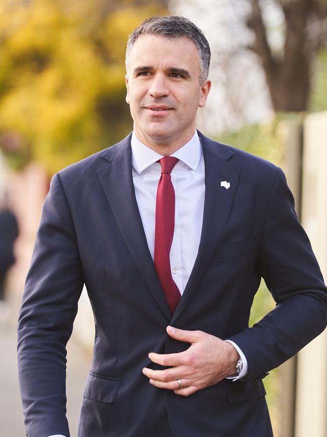 Opposition Leader Peter Malinauskas.