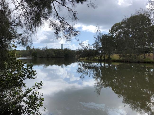 Albert Park, Broadbeach, Gold Coast. Picture: Amanda Robbemond