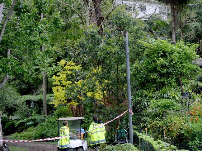 Police and emergency services at the scene of a landslide at Mackerel Beach. A woman was sleeping metres away when a boulder slipped and rolled destroying her home overnight. Sydney, Monday, 26 October, 2020. Picture: NCA NewsWire / Jeremy Piper