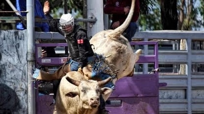 Mareeba cowboy Wyatt Milgate, 21, said he is ready to make the magic eight-second ride on Pandemonium at the 2022 Great Northern Bullriding Series Final at the Atherton Showgrounds on November 4.