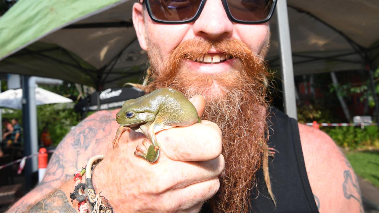 Photo gallery Frog racing at Noonamah Tavern on Melbourne Cup Day