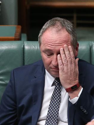 Deputy PM Barnaby Joyce in Question Time. Picture Kym Smith