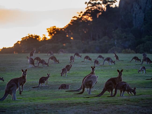 Hanging Rock, Newham, at Sunset. Picture Jay Town