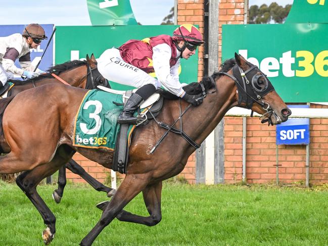 Eugenius ridden by Lauren Burke wins the Jim McKinnon Stakes (Neville Wilson Series Heat 4) at Terang Racecourse on April 14, 2024 in Terang, Australia. (Photo by Reg Ryan/Racing Photos via Getty Images)