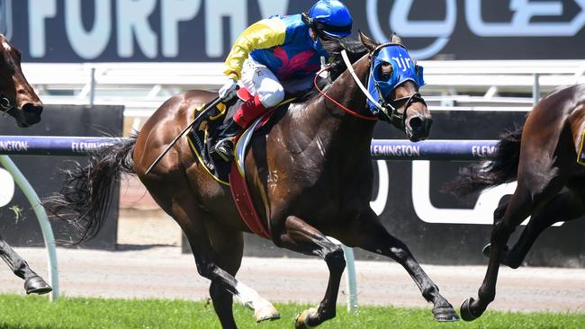 Alleboom ridden by Craig Williams strides to victory. Picture: Ross Holburt/Racing Photos via Getty Images