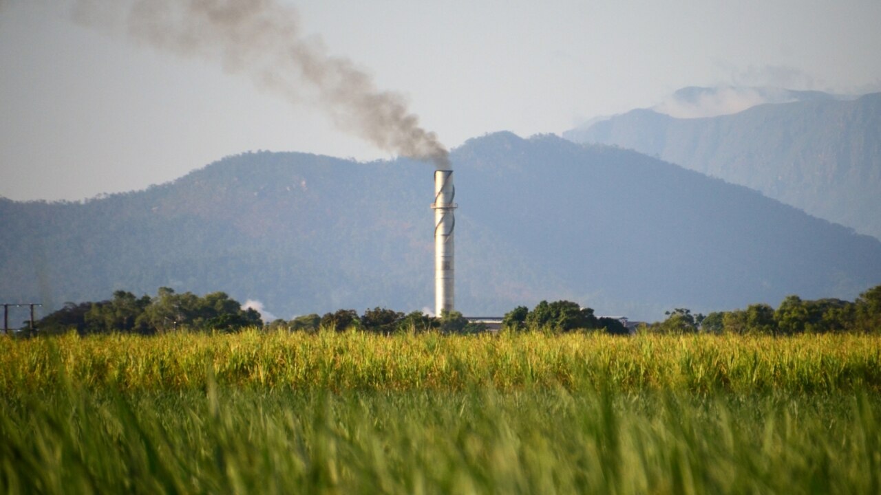 Australia and Brazil file WTO complaint over India sugar tariff