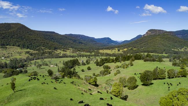 The property’s located in the gorgeous Numinbah Valley.