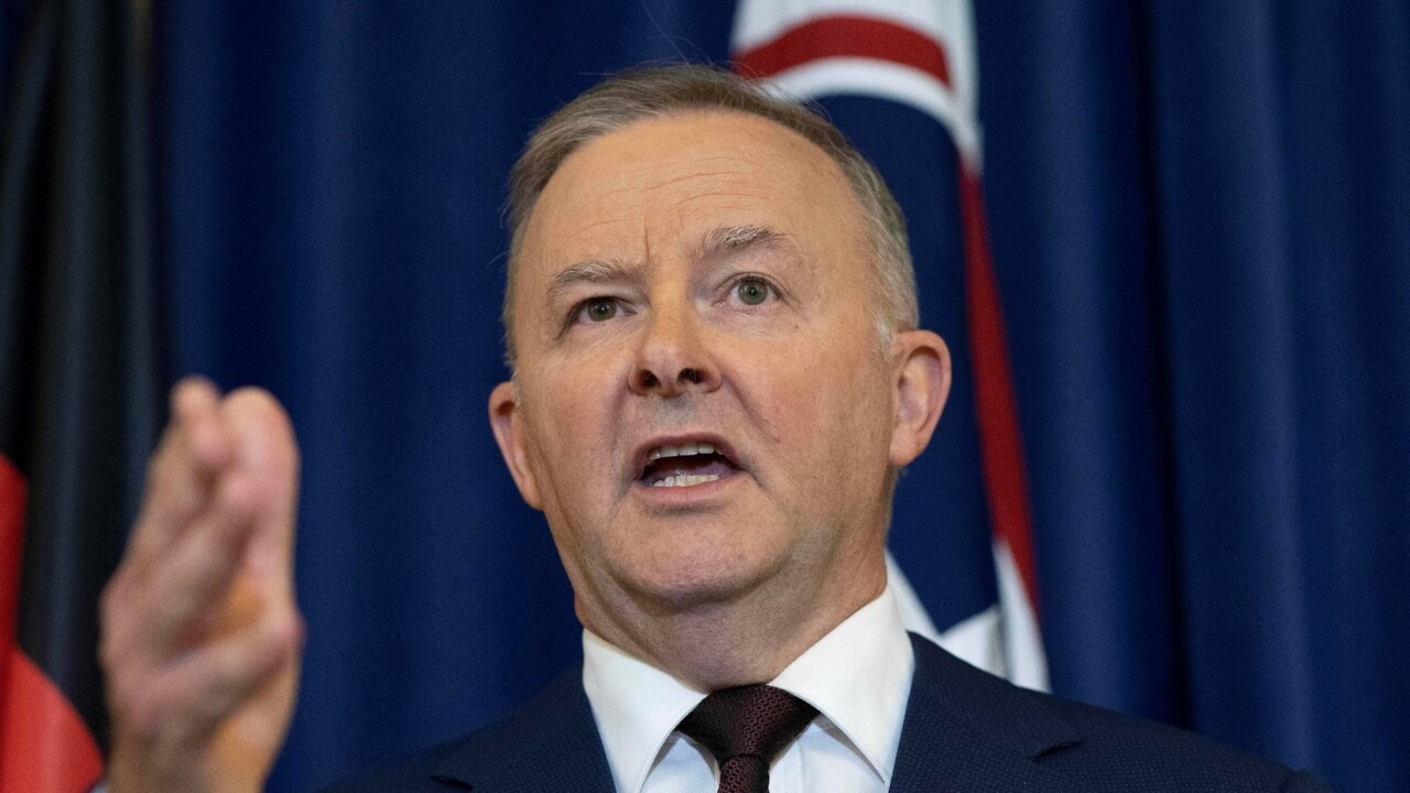 Current government ‘struggles’ with the present and is ‘terrified’ of the future: Albanese