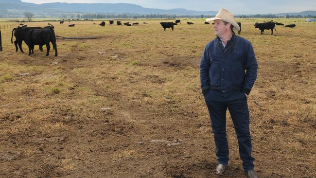 Lachie Graham of Argyle Prestige Meats on farm at Nowra on the NSW south coast. Picture: James Wagstaff