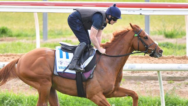 Dave Casey riding Vauban during trackwork at Werribee Racecourse on October 22, 2024 in Werribee, Australia. (Photo by Pat Scala/Racing Photos via Getty Images)