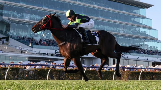 Private Eye will return to the hallowed turf of the Flemington Racecourse for Saturday’s Group 1 Lightning Stakes. Picture: Racing Photos via Getty Images