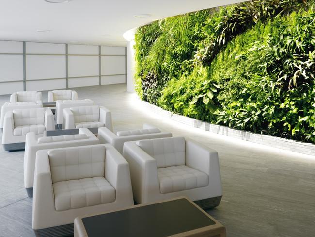 Just a few of the 8500 plants you’ll find in the Qantas First Lounge. Picture: Qantas